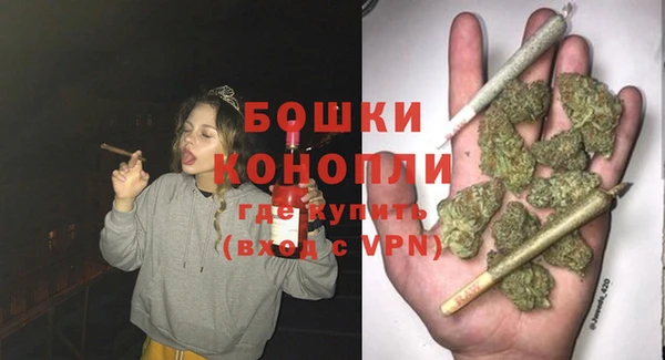 прущие грибы Михайлов