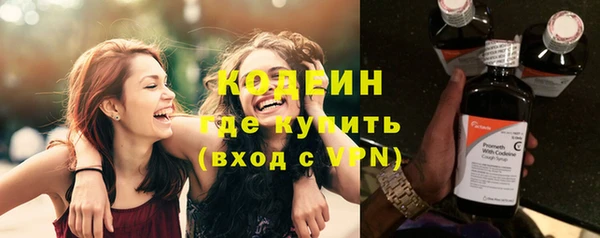 прущие грибы Михайлов