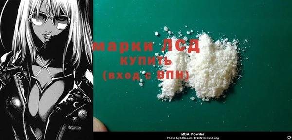 прущие грибы Михайлов