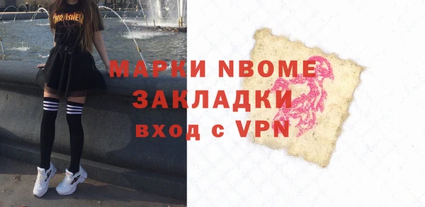 прущие грибы Михайлов