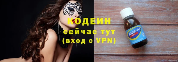 прущие грибы Михайлов