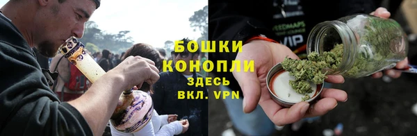 прущие грибы Михайлов