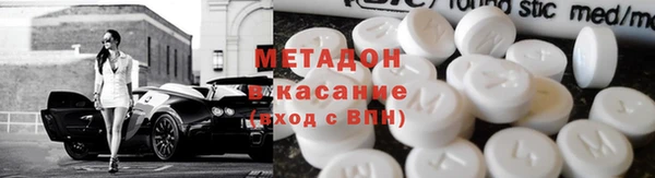 прущие грибы Михайлов