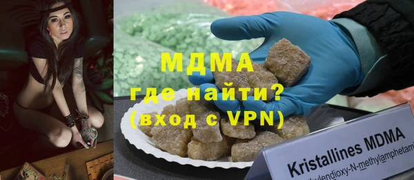 прущие грибы Михайлов