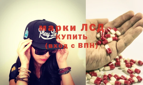 индика Анива