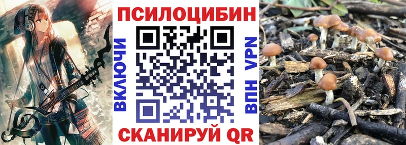 Псилоцибиновые грибы мицелий  ссылка на мегу зеркало  Ладушкин 